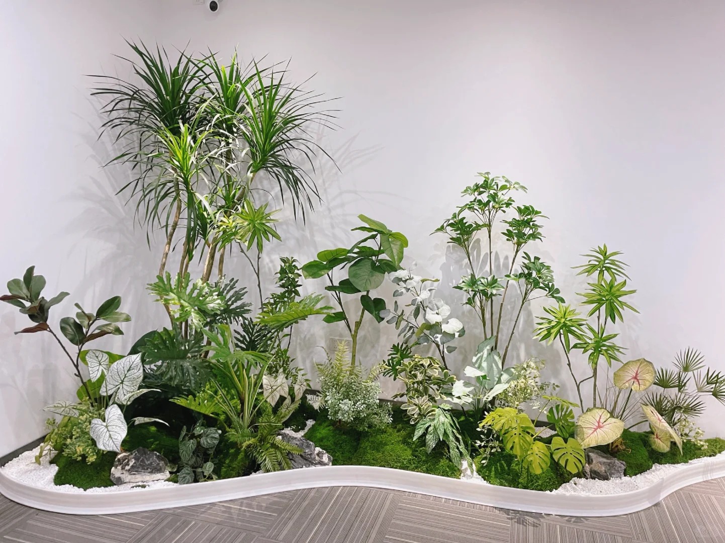 余姚盆景出租,打造独特空间美学