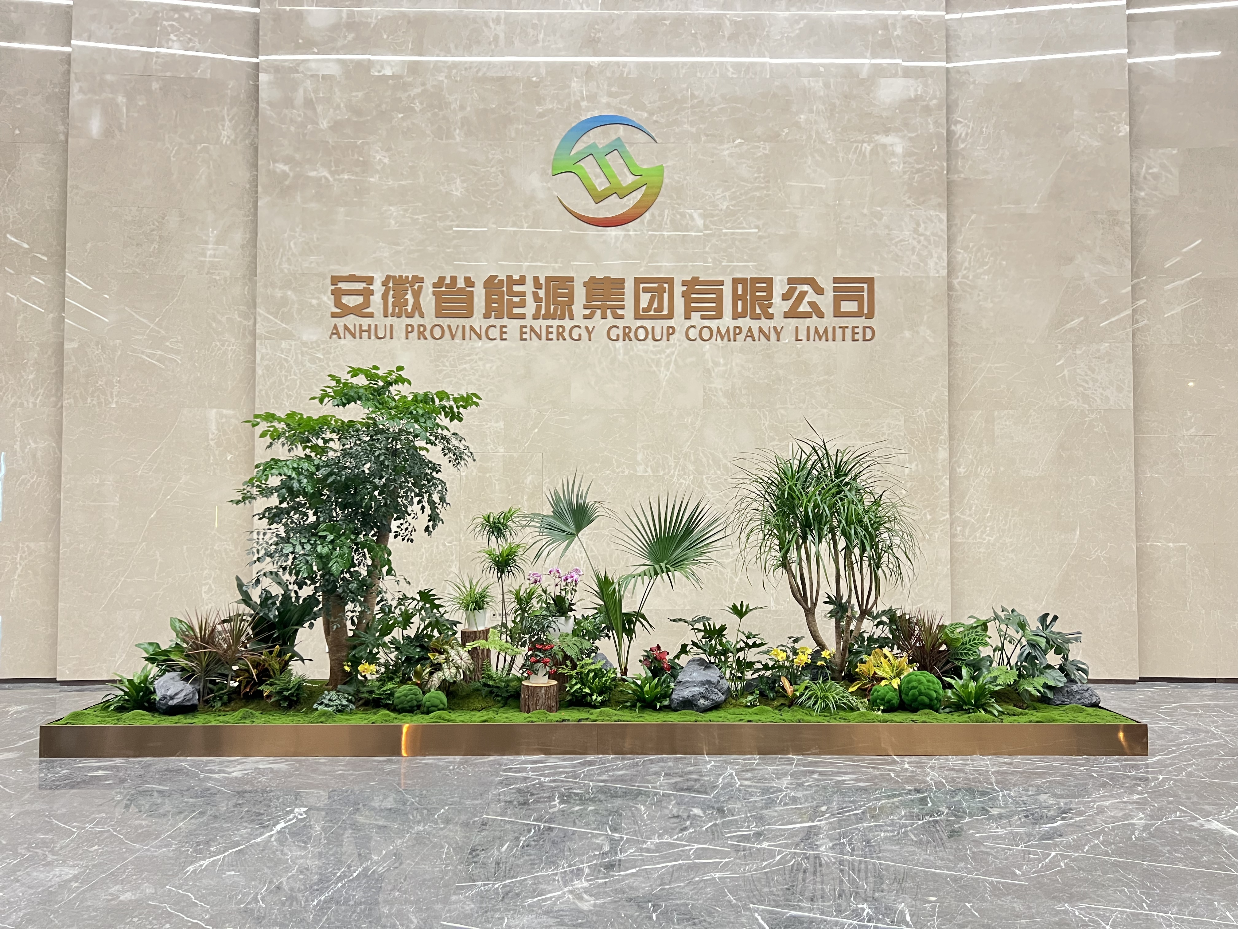 余姚盆景出租,打造独特空间美学